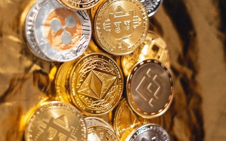 Bitcoin Stabilises at Around $105,500, Most Altcoins See Minor Profits