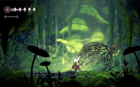 Hollow Knight: Silksong Will Release Before Holiday 2025, Not Tied to Xbox Ally Launch, Developer Says