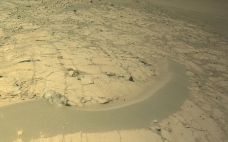 Perseverance Rover Studies Ancient Martian Rocks at Fallbreen and Forlandet Quadrangle