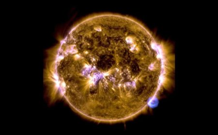 Parker Solar Probe Witnesses Unprecedented Sunward Plasma Jet Driven by Magnetic Reconnection