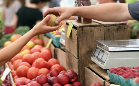 BigBasket to Launch 10-Minute Food Delivery Across India by March 2026, Executive Says