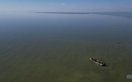 New Island Forms in Caspian Sea as Water Levels Drop, Russian Scientists Confirm