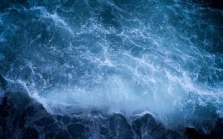 Earth’s Oceans Enter Danger Zone Due to Rising Acidification, New Study Warns
