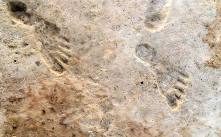 Ancient Footprints in White Sands Confirm Humans Reached America 23,000 Years Ago