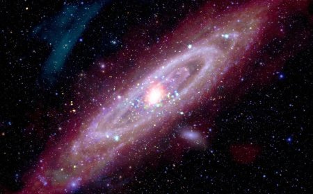 NASA’s Chandra Reveals Stunning Multi-Wavelength Image of Andromeda Galaxy