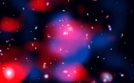 Most Distant Mini-Halo Discovered in Galaxy Cluster 10 Billion Light-Years Away