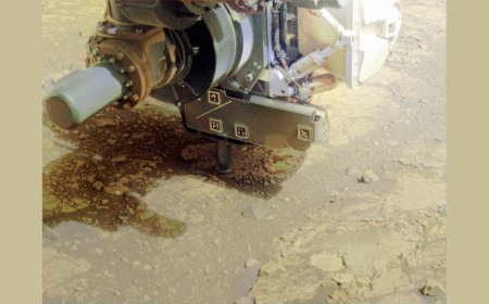 NASA’s Perseverance Rover Investigates Strange Martian Rock