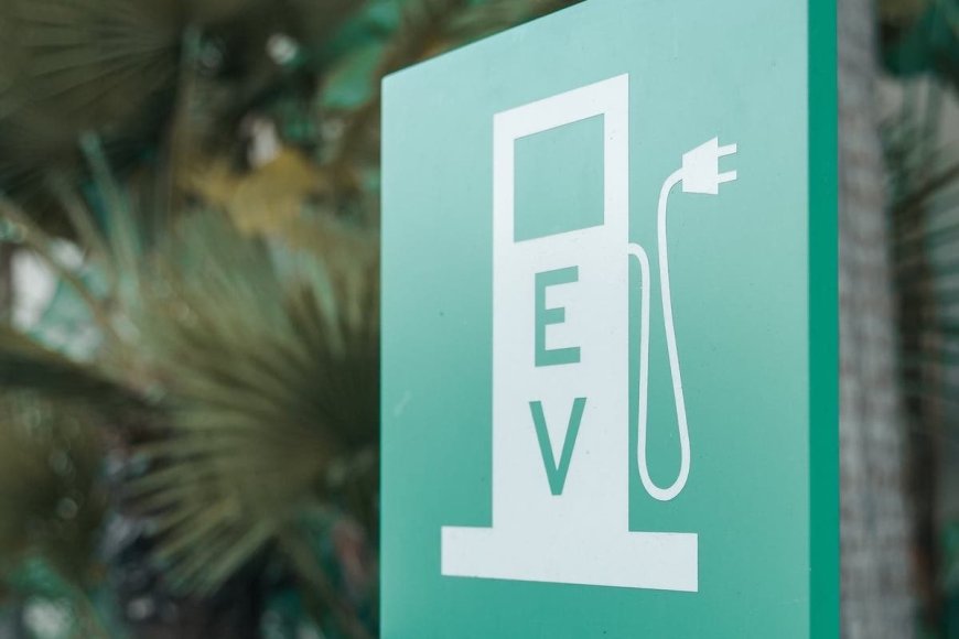 India to Open Flagship EV Making Policy to Lure Global Giants