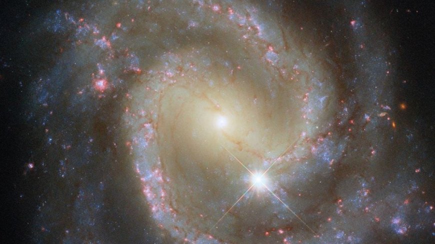 Hubble Spots Isolated Barred Spiral Galaxy That’s Secretly Part of a Cosmic Duo