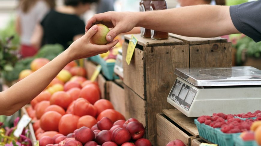 BigBasket to Launch 10-Minute Food Delivery Across India by March 2026, Executive Says