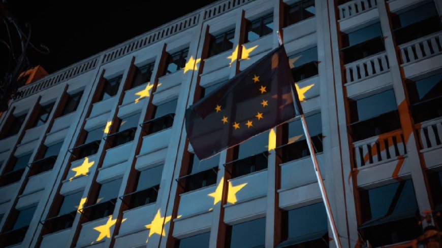 Meta, TikTok Challenge Tech Fees in Second Highest EU Court