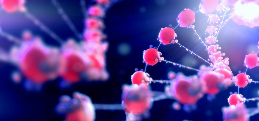 Big Cuts to U.S. Cancer Research May Create Historic Opening for Biotech Investors