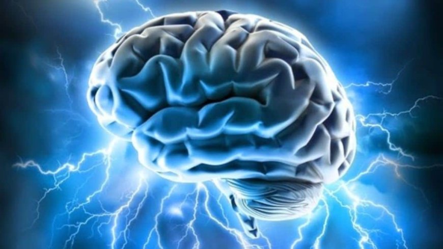 Brain’s Built-In Signal Threshold Helps Differentiate Imagination from Reality