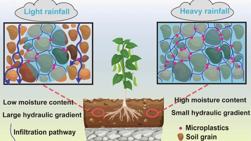 Green Rooftops Could Help Cities Like Shanghai Filter Out Tons of Microplastics from Rainwater