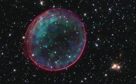 Astronomers Discover a Gigantic Supernova Remnant in the Large Magellanic Cloud