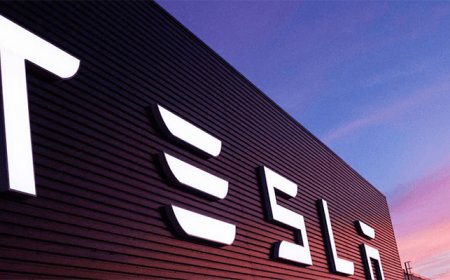 Mid-Week Stocks To Watch Include Tesla, Palantir, and More