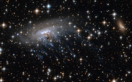 Webb Telescope Spots Possible Jellyfish Galaxy 12 Billion Light-Years Away