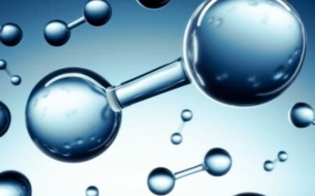 Australia Backs Green Hydrogen Project as Industry Struggles