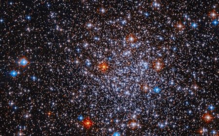 Hubble Observations Give Forgotten Globular Cluster Its Moment to Shine