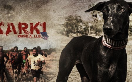 Karki OTT Release Date: When and Where to Watch it Online?