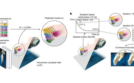 MIT Develops Low-Resource AI System to Control Soft Robots with Just One Image
