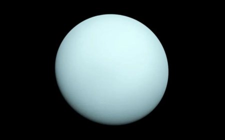 Uranus Found Emitting Internal Heat, Reviving Hopes for Flagship NASA Mission