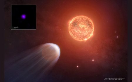 Young Exoplanet Spotted Shedding Atmosphere Under Stellar Radiation