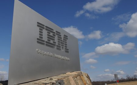 “Big Blue” Drops with Software Revenue