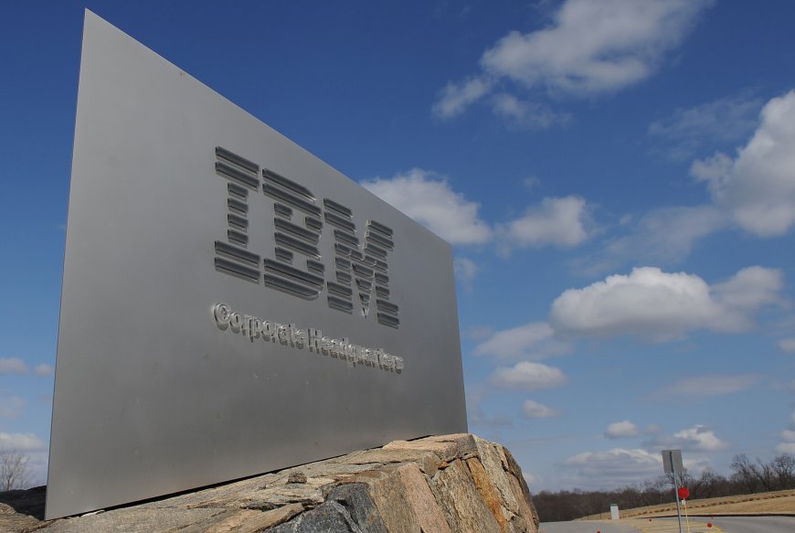 “Big Blue” Drops with Software Revenue