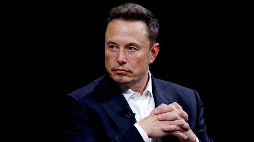 Video-Sharing App Vine Is Returning 'In AI Form', Says Elon Musk