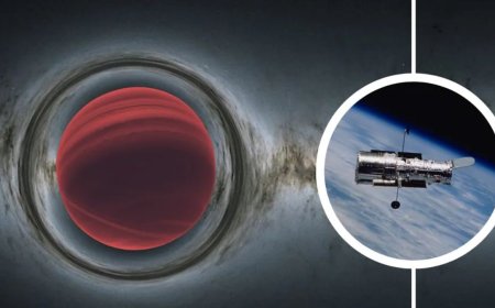 New Rogue Planet Discovered in Hubble Data Using Einstein’s Gravity Theory