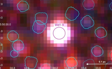 Supergiant Star Wd1-9 Investigated: Know Everything about New Findings and Insights from Supergiant Star