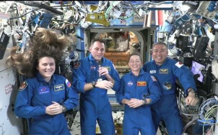 NASA's SpaceX Crew-11 Enters International Space Station, Joins Expedition 73