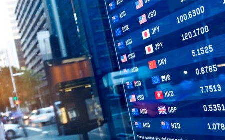 Trade War Update on India and Brazil