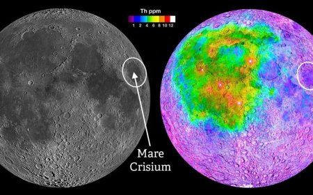 NASA Awards Firefly $177M for 2029 Mission to Deliver Rovers to Moon’s South Pole