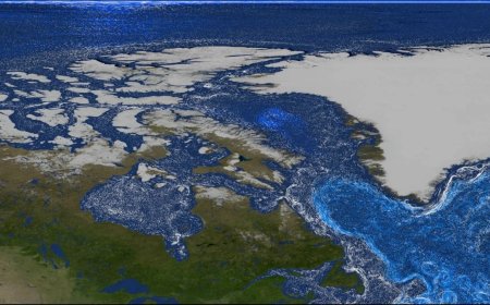 Greenland's Melting Glaciers Feed Ocean Life, Study Finds
