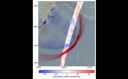 SWOT Satellite Captures Tsunami Wave After Kamchatka Quake