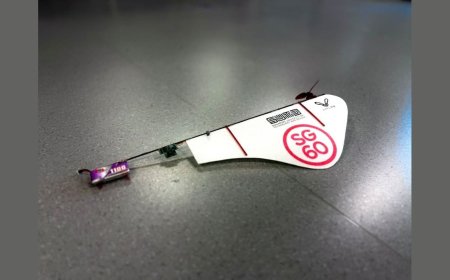 Singapore Researchers Build Maple Seed Drone with Record 26-Minute Flight