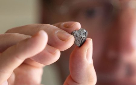 Cosmic Visitor: 4.56-Billion-Year-Old Meteorite Strikes into Georgia Home