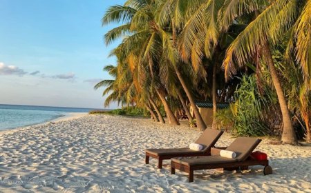 Independence Day 2025: Up to 50 Percent Discount on These Apps to Travel on Long Weekend