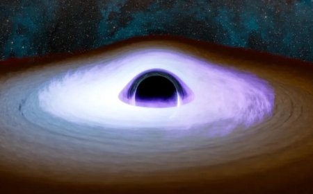 NASA’s IXPE Challenges Theories on Black Hole Corona and Polarised X-Ray Emissions