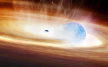 Astronomers Observe Rare Supernova–Black Hole Interaction in Early Stages