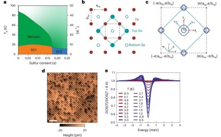 Rice University Scientists Confirm Flatband Discovery in Kagome Superconductor