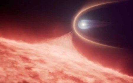 Hubble Discovers White Dwarf Merger Remnant with Unusual Carbon Signature