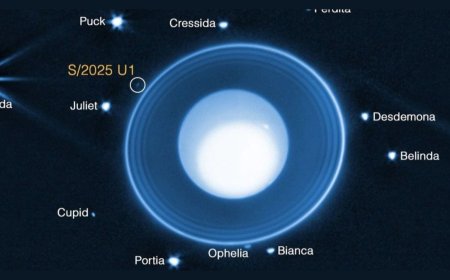 James Webb Telescope Discovers Tiny New Moon Orbiting Uranus
