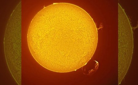 Rare Giant Solar Tornado and Plasma Eruption Captured Together on the Sun