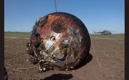 Russia Launches Bion-M No.2 with Mice, Flies, and Seeds to Study Space Biology