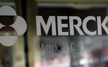 Why These Medicaid Stocks Might Surge