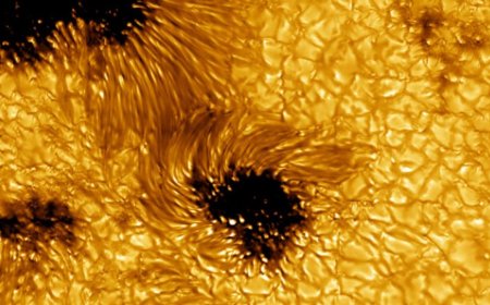Astronomers Capture Sharpest-Ever Solar Flare Images with NSF’s DKIST Telescope