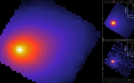 James Webb Detects Carbon Dioxide–Dominated Coma in Interstellar Object 3I/ATLAS